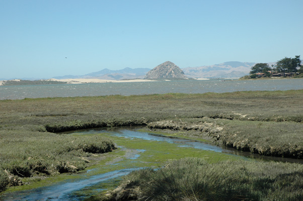 Morro Bay 035.JPG